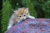 peterboy4weeks11_small.jpg