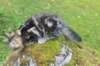paulos15weeks26835_small.jpg