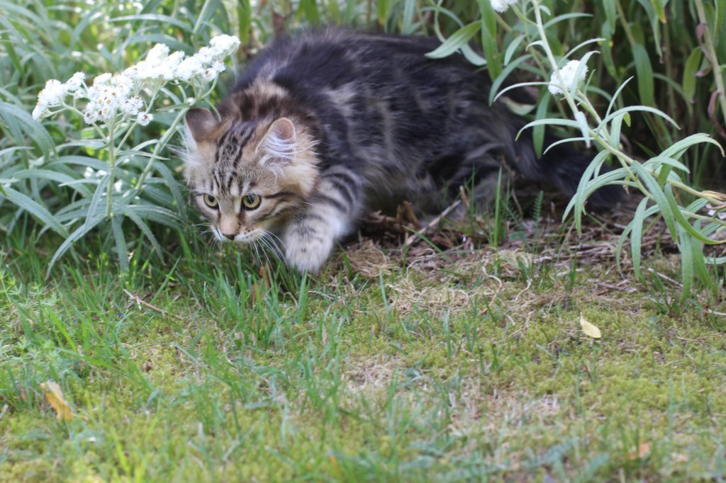 paulosboy13weeks11818.jpg