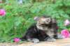 paulosboy1month13615_small.jpg