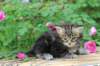 paulosboy1month13616_small.jpg