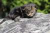 paulosboy2weeks2days29515_small.jpg