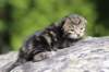 paulosboy2weeks2days29519_small.jpg