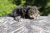 paulosboy2weeks2days2953_small.jpg