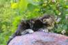 img_0880_small.jpg
