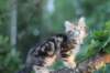 img_5897_small.jpg