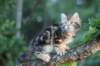 img_5899_small.jpg