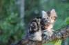 img_5900_small.jpg