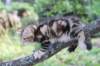 pelegboy13weeks11819_small.jpg