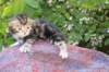 img_1034_small.jpg