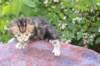 img_1036_small.jpg