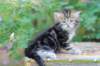 pelegboy5weeks4_small.jpg