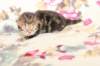 img_9725_small.jpg