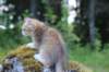 img_5432_small.jpg