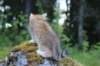 img_5433_small.jpg