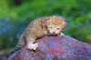 img_0495_small.jpg