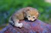img_0500_small.jpg