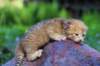 img_0525_small.jpg