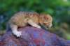 peterboy2weeks2days2952018_small.jpg