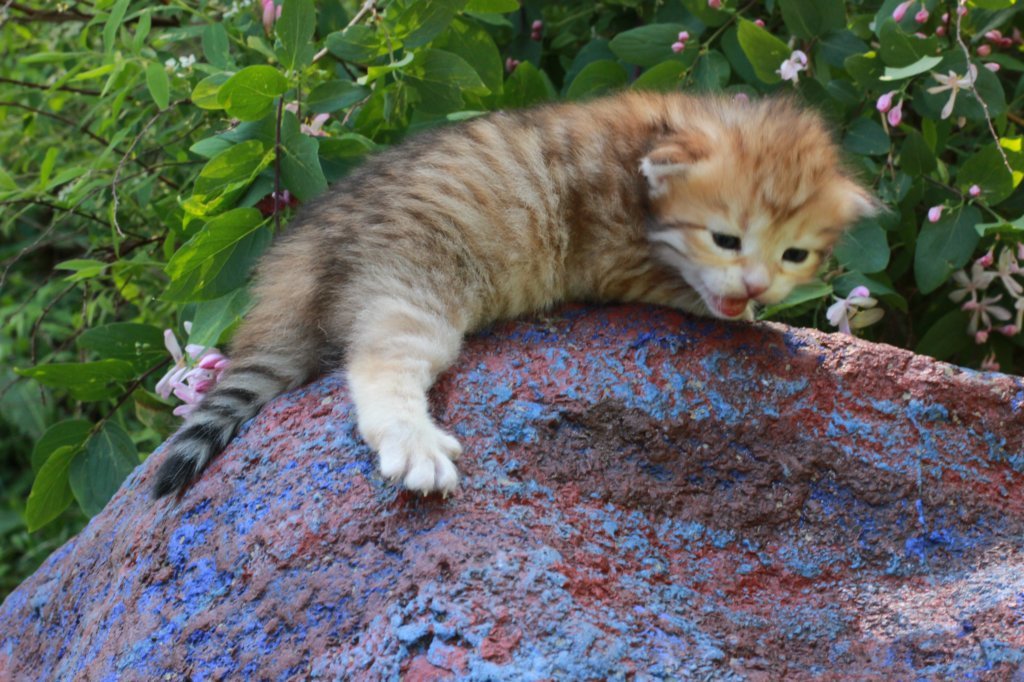 img_0818.jpg