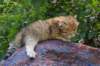 img_0824_small.jpg