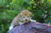img_0860_small.jpg