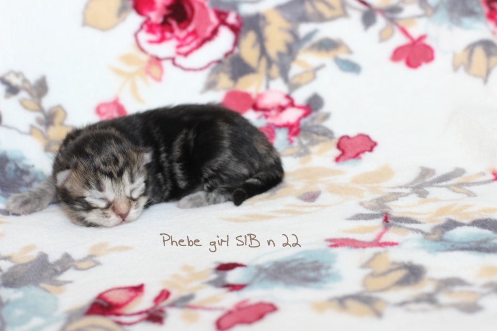 img_9769phebe2.jpg