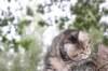 phebe15weeks268123_small.jpg