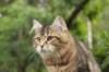 phebe15weeks26836_small.jpg