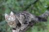 phebe15weeks2683_small.jpg