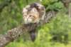 phebe15weeks26841_small.jpg
