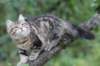 phebe15weeks2684_small.jpg