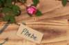 phebe1month8_small.jpg