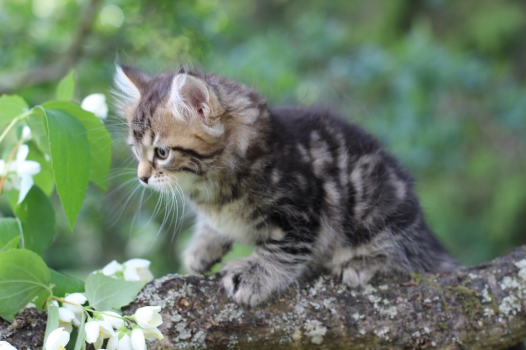 phebe8weeks7712.jpg