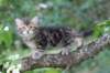 phebe8weeks778_small.jpg