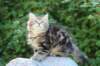 img_5347_small.jpg