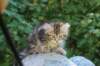 img_5359_small.jpg