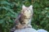 img_5361_small.jpg