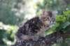 img_5367_small.jpg