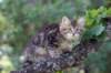 img_5368_small.jpg