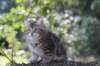 img_5393_small.jpg