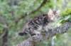 img_5400_small.jpg