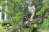 img_7093_small.jpg