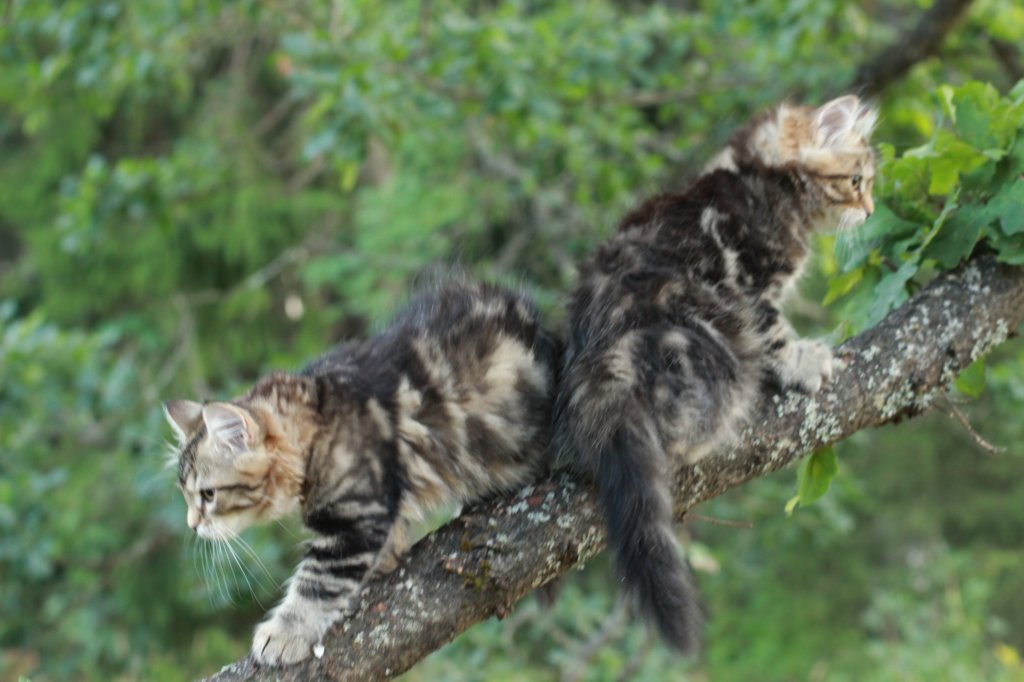 phebeandpaulos16.jpg