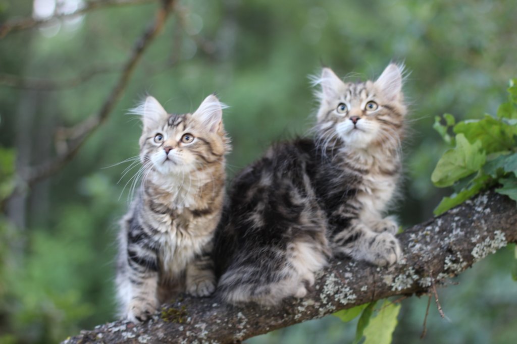 phebeandpaulos3.jpg