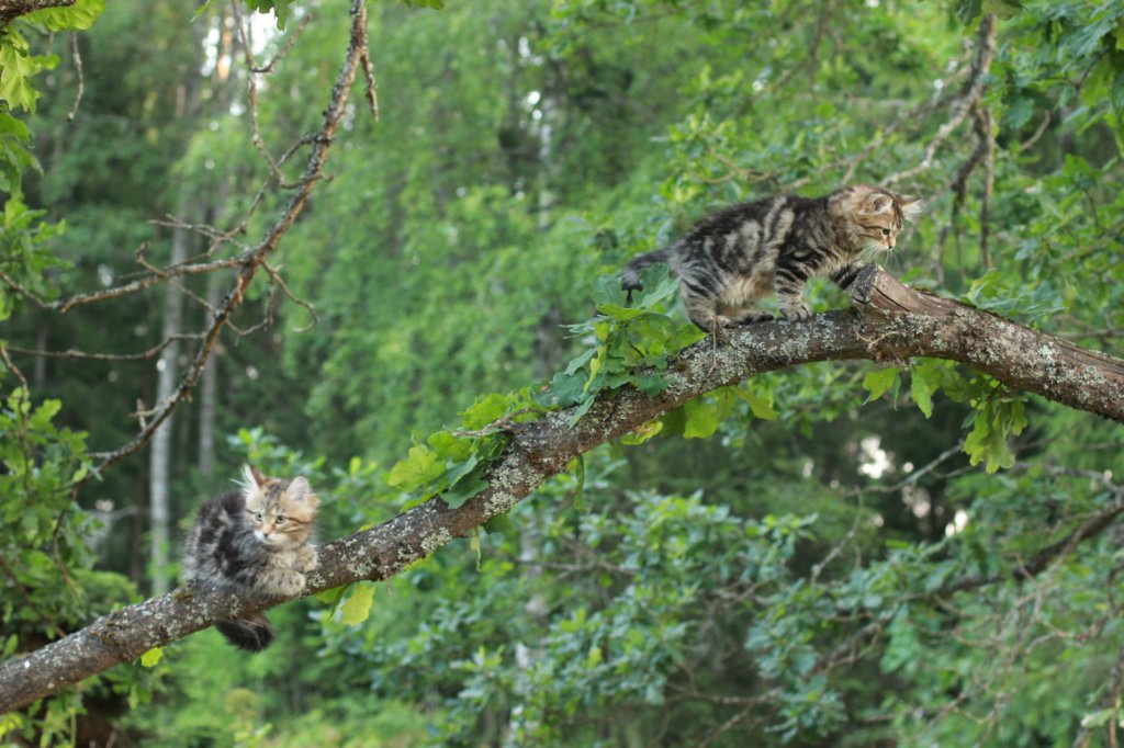phebeandpaulos53.jpg