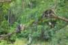 phebeandpaulos55_small.jpg