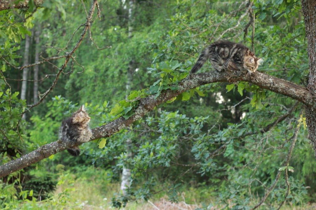 phebeandpaulos58.jpg