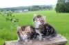 img_3574_small.jpg