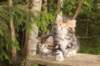 img_3618_small.jpg